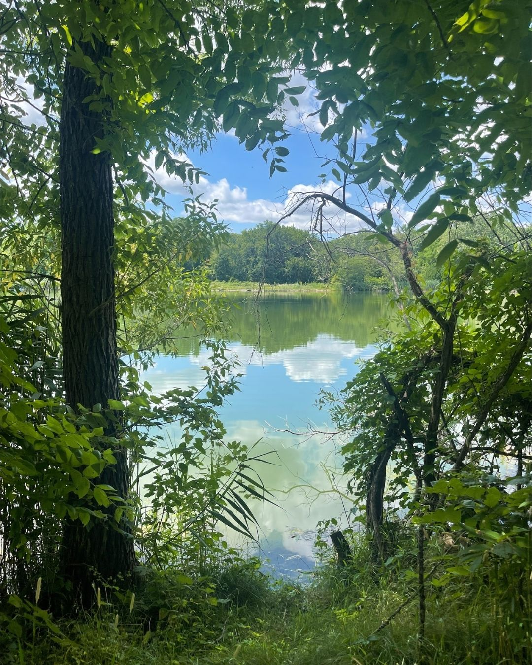 View of a pond.