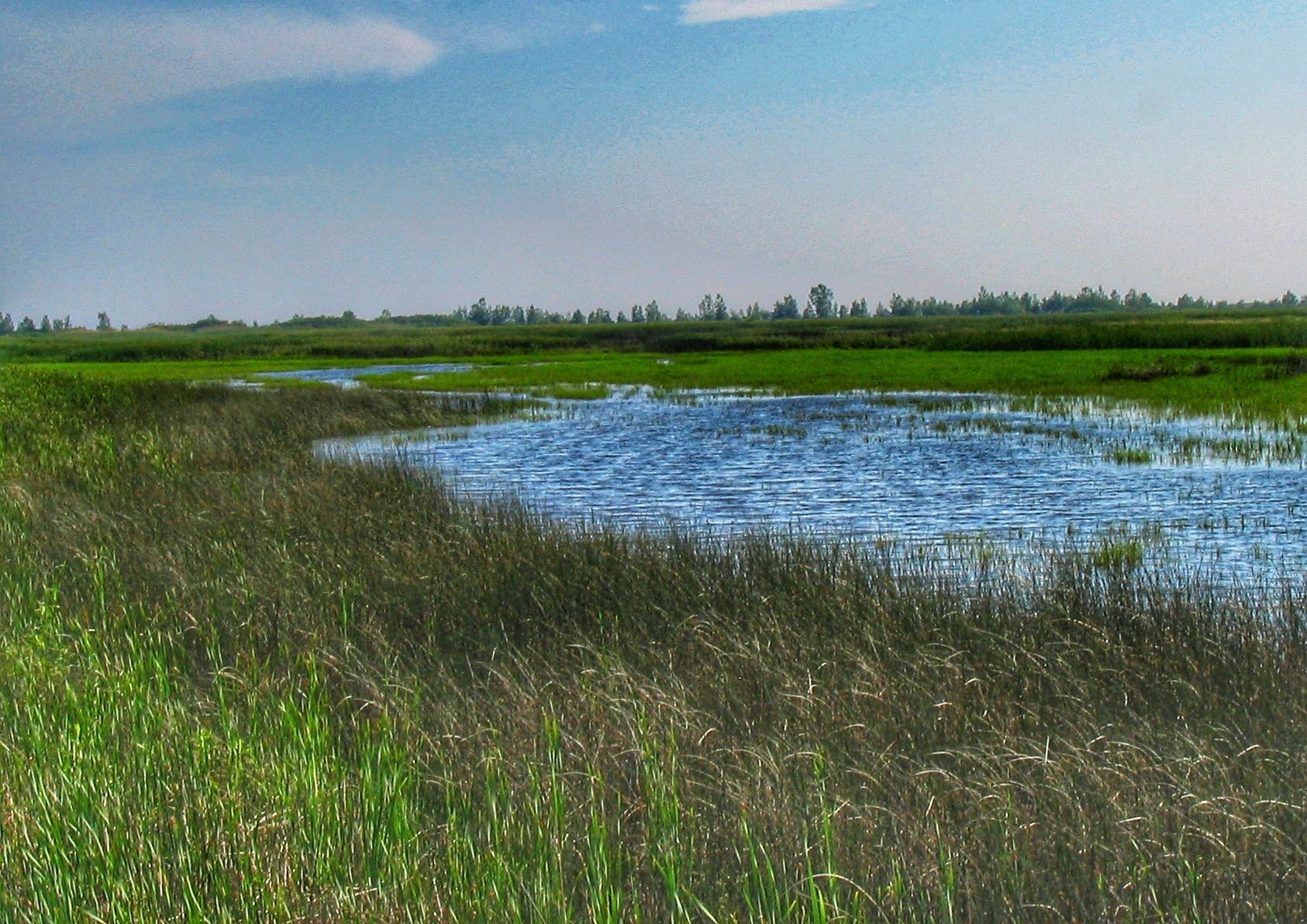 Presentations on Wetland & Species at Risk Protections Along Rondeau ...