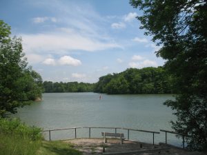 Sharon Creek Conservation Area