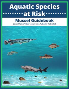 Aquatic Species at Risk: Mussel Guidebook Cover