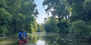 Two people paddling along a river in a canoe.