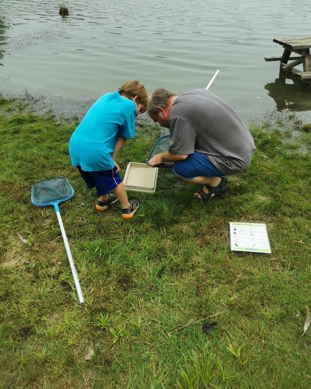 An adult and a youth look at aquatic bugs.