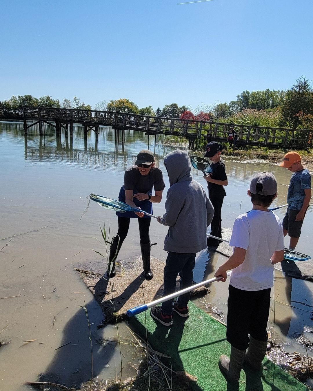 An educator shows youth aquatic bugs in a net.