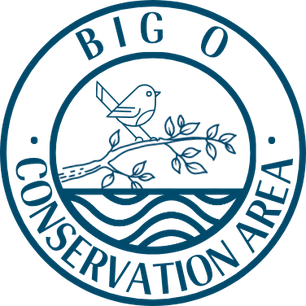 BigOBlue