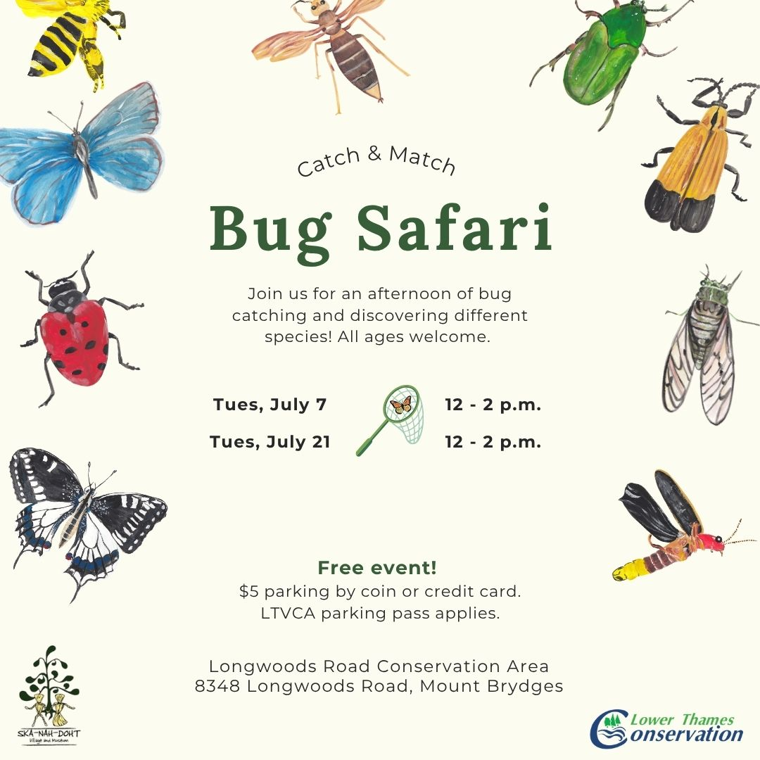 A promotional poster sharing details of Bug Safari, with a border of bug drawings.
Text reads:
Catch & Match
Bug Safari
Join us for an afternoon of bug catching and discovering different species! All ages welcome.
Tues., July 7 12 - 2 p.m.
Tues., July 21, 12 -2 p.m.
Free event!
$5 parking by coid or credit card. LTVCA parking pass applies.
Longwoods Road Conservation Area
8348 Longwoods Road, Mount Brydges