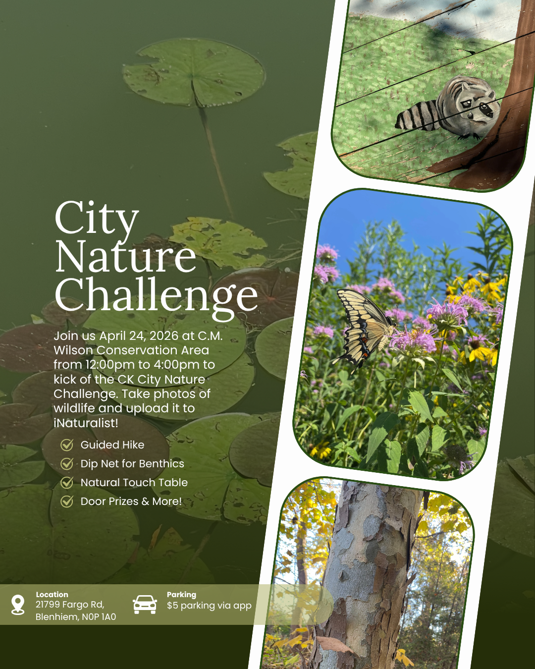 Advertisement for the City Nature Challenge.
Join us April 24, 2026 at C.M. Wilson Conservation Area from 12:00 p.m. - 4:00 p.m. to kick off the CK City Nature Challenge. Take photos of wildlife and upload them to iNaturalist!
- Guided Hike
- Dip Net for Benthics
- Natural Touch Table
- Door Prizes & More!