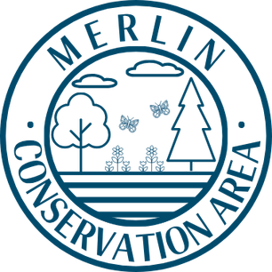 Merlin Blue