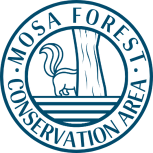 Mosa Forest Blue