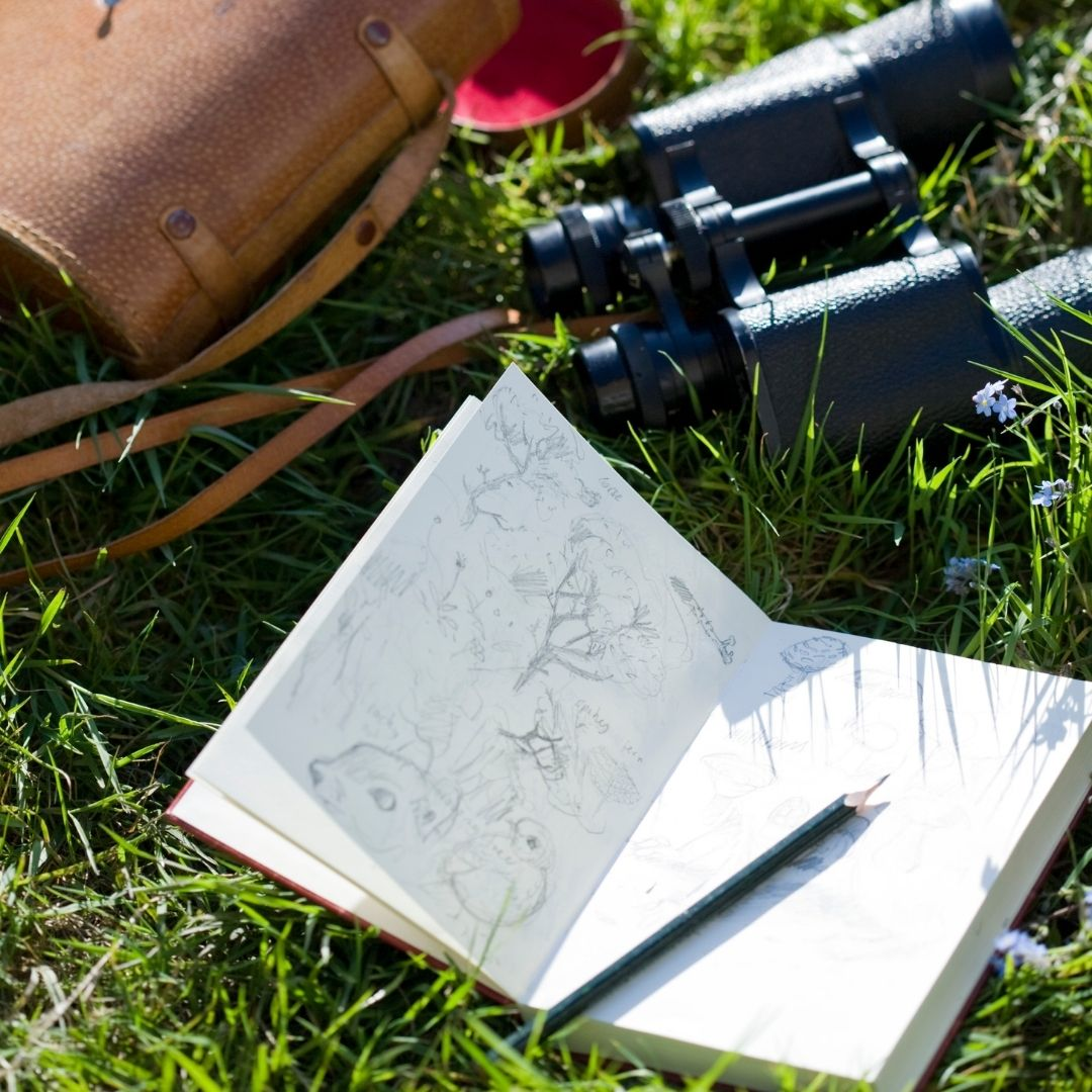 A pair of binoculars sit beside a case in the grass. A journal with drawings lays out beside them with a pencil.