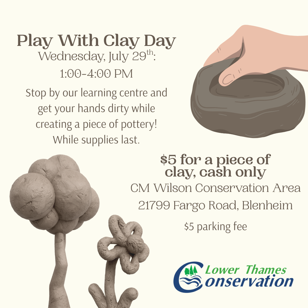 Description: a promotional post featuring flowers made out of clay. Text reads: Play with Clay Day Wednesday, July 29th 1:00 - 4:00 p.m. Stop by our learning centre and get your hands dirty while creating a piece of pottery! While supplies last. $5 for a piece of clay, cash only. CM Wilson Conservation Area 21799 Fargo Road $5 parking fee