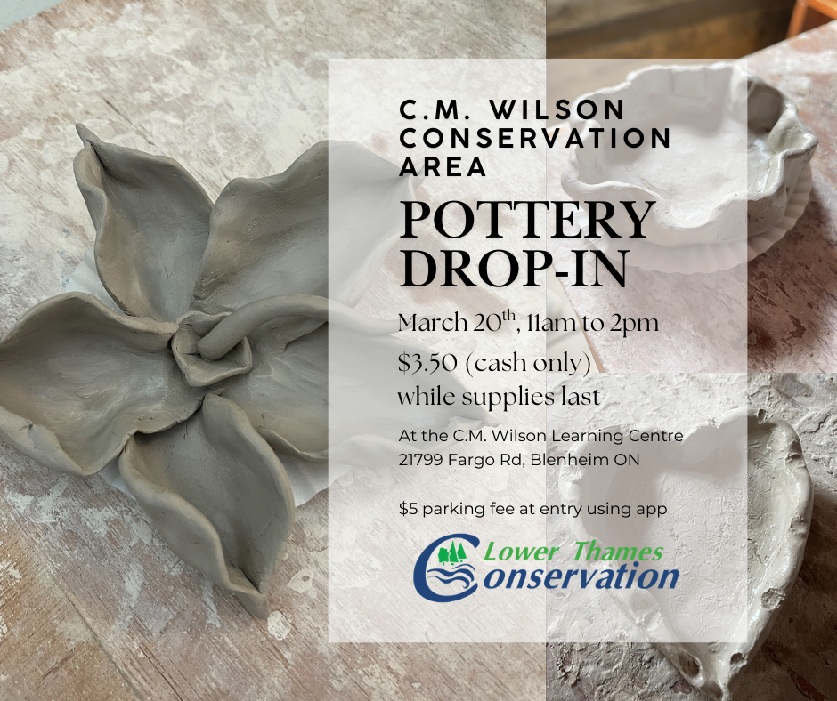 Three photos of clay creations overlaid with the following text: C.M. Wilson Conservation Area Pottery Drop-In March 20th, 11 a.m. to 2 p.m. $3.50 (cash only) while supplies last. At the C.M. Wilson Learning Centre 21799 Fargo Rd. Blenheim ON $5 parking fee at entry using app The LTVCA logo appears below text.
