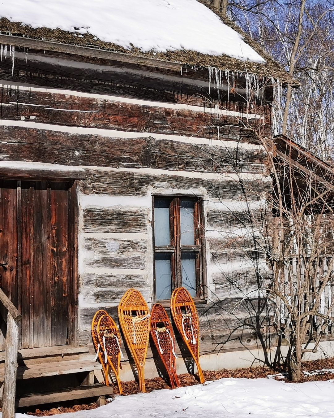Snowshoes lean against the wall of a log cabin.
