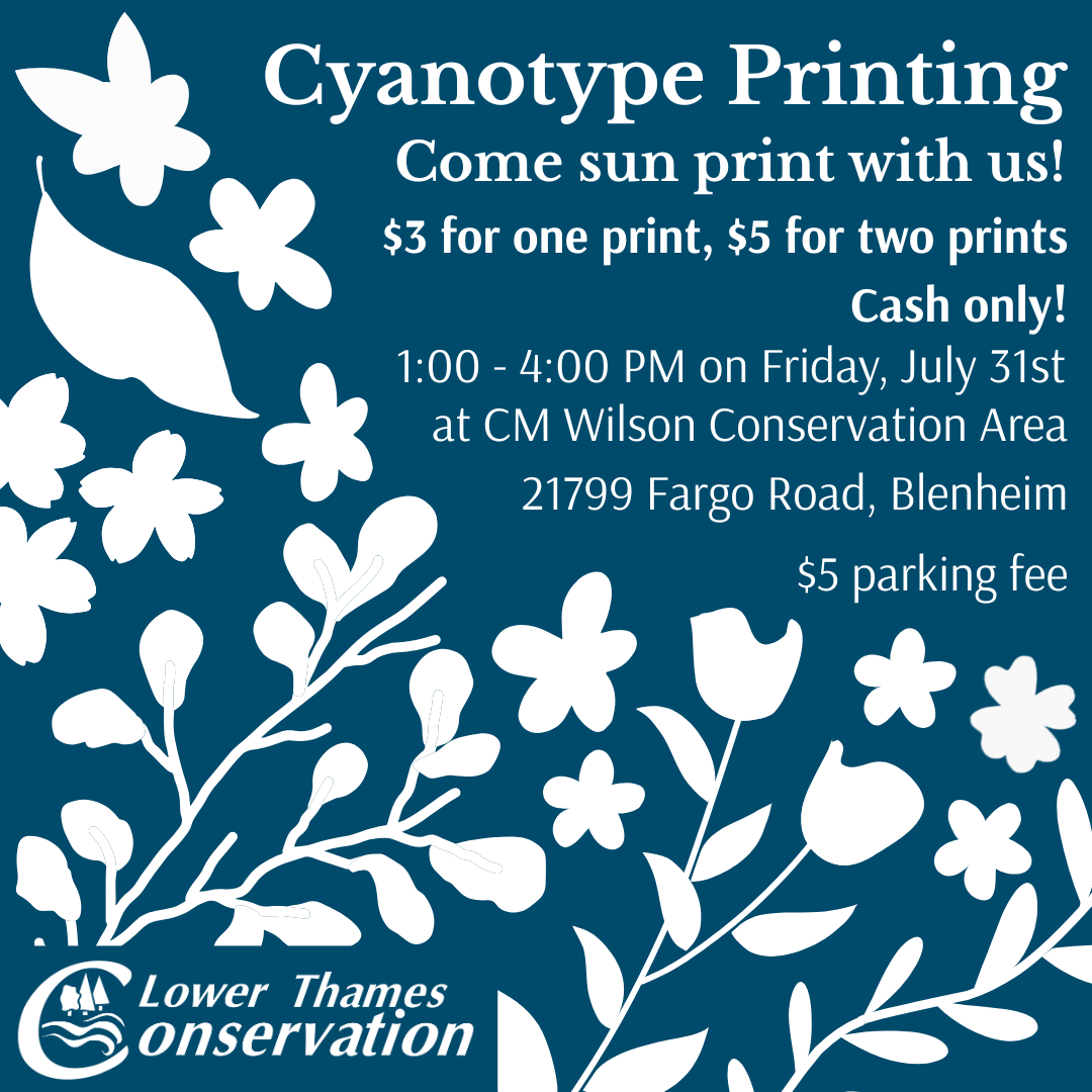 Text reads: Cyanotype Printing Come sun print with us! $3 for on print, $5 for two prints Cash only! 1:00 - 4:00 p.m. on Friday, July 31st at CM Wilson Conservation Area 21799 Fargo Road, Blenheim $5 parking fee