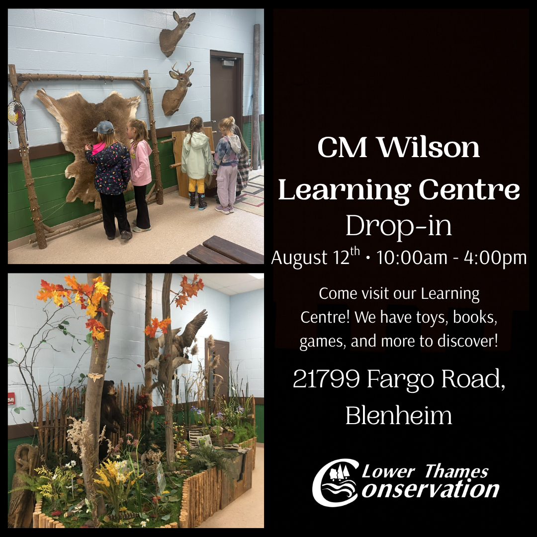 A promotional post with a photo of young children exploring environmental exhibits. Post reads: CM Wilson Learning Centre Drop-In August 12th 10:00 a.m. - 4 p.m. Come visit our Learning Centre! We have toys, books, games, and more to discover! 21799 Fargo Road, Blenheim